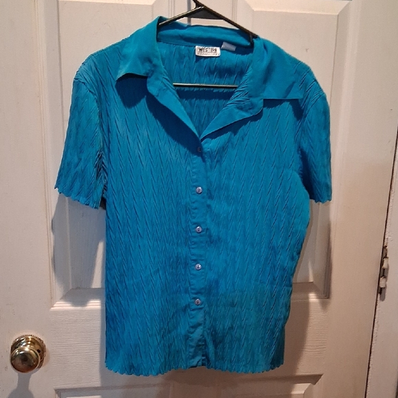 Blue Short Sleeve Blouse with Classic Collar Size Large - Picture 1 of 5